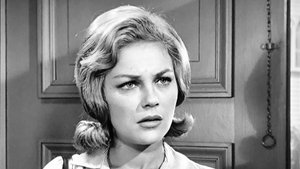 The Andy Griffith Show 2. epizoda