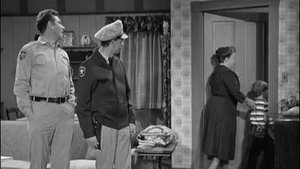 The Andy Griffith Show 29. epizoda