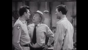 The Andy Griffith Show 22. epizoda