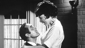 The Andy Griffith Show 17. epizoda