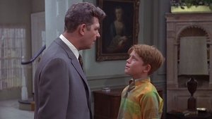The Andy Griffith Show 5. epizoda