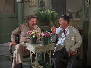 The Andy Griffith Show 12. epizoda