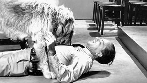 The Andy Griffith Show 6. epizoda