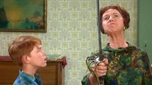 The Andy Griffith Show 29. epizoda