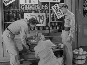 The Andy Griffith Show 22. epizoda