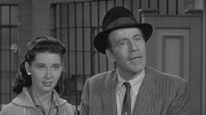 The Andy Griffith Show 19. epizoda
