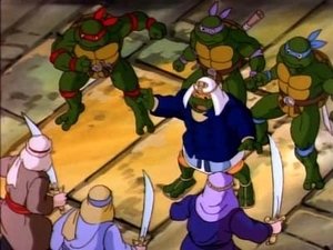 Želvy Ninja Posvátná želva Michelangelo