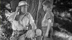 The Andy Griffith Show 1. epizoda