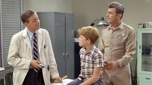 The Andy Griffith Show 15. epizoda