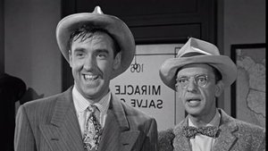The Andy Griffith Show 26. epizoda