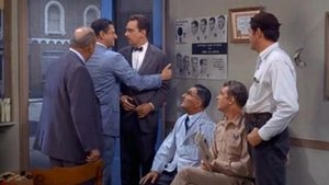The Andy Griffith Show 22. epizoda