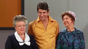 The Andy Griffith Show 30. epizoda
