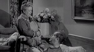The Andy Griffith Show 23. epizoda