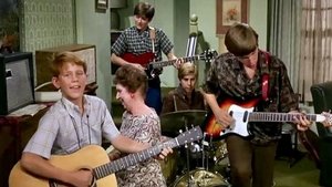 The Andy Griffith Show 9. epizoda