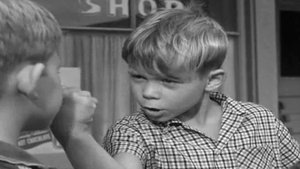 The Andy Griffith Show 1. epizoda