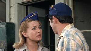The Andy Griffith Show 28. epizoda