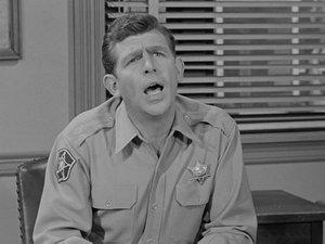 The Andy Griffith Show 29. epizoda