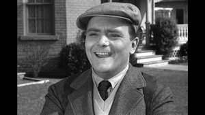 The Andy Griffith Show 26. epizoda