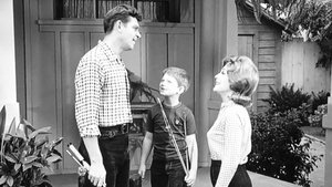 The Andy Griffith Show 10. epizoda
