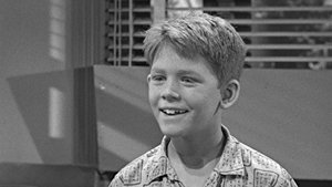 The Andy Griffith Show 9. epizoda
