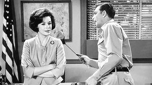 The Andy Griffith Show 30. epizoda