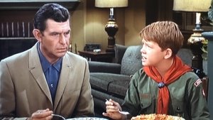 The Andy Griffith Show 17. epizoda