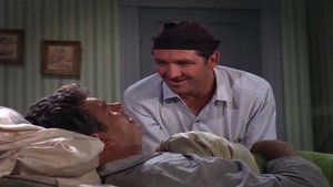 The Andy Griffith Show 14. epizoda