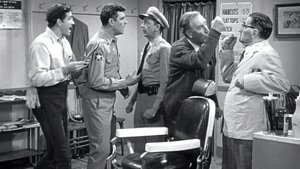 The Andy Griffith Show 25. epizoda