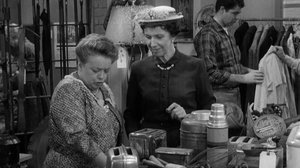 The Andy Griffith Show 28. epizoda