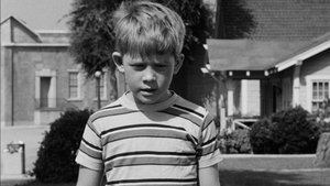 The Andy Griffith Show 1. epizoda