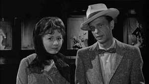 The Andy Griffith Show 30. epizoda
