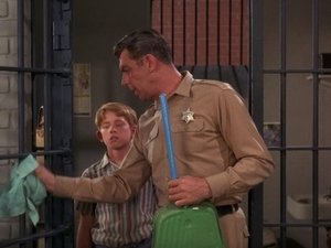 The Andy Griffith Show 29. epizoda