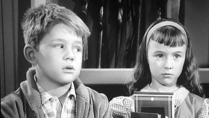 The Andy Griffith Show 28. epizoda