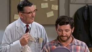 The Andy Griffith Show 14. epizoda