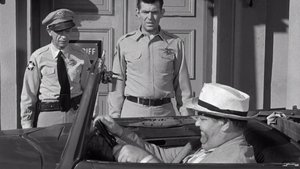 The Andy Griffith Show 19. epizoda