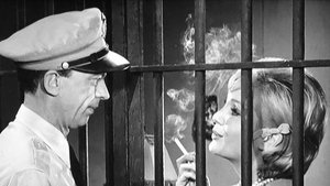 The Andy Griffith Show 18. epizoda