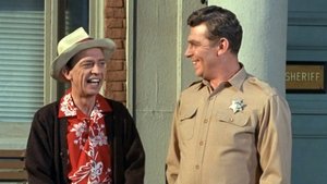 The Andy Griffith Show 17. epizoda