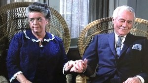 The Andy Griffith Show 4. epizoda