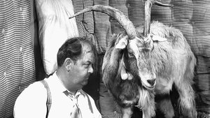 The Andy Griffith Show 18. epizoda