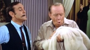 The Andy Griffith Show 25. epizoda