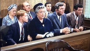The Andy Griffith Show 7. epizoda