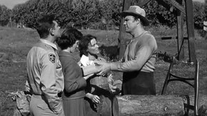 The Andy Griffith Show 27. epizoda