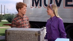 The Andy Griffith Show 28. epizoda