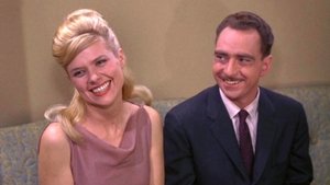 The Andy Griffith Show 26. epizoda