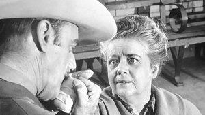 The Andy Griffith Show 24. epizoda