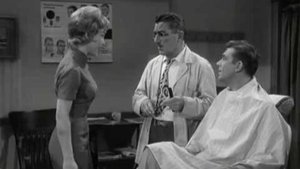 The Andy Griffith Show 16. epizoda