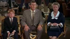 The Andy Griffith Show 8. epizoda