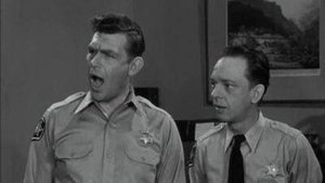 The Andy Griffith Show 25. epizoda