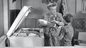 The Andy Griffith Show 24. epizoda