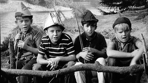 The Andy Griffith Show 12. epizoda